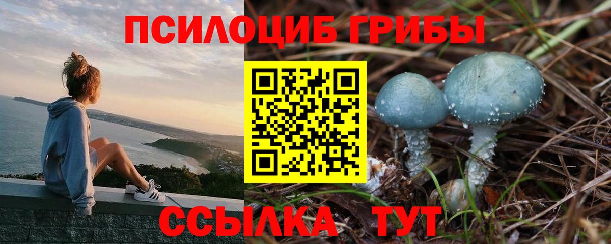 Галлюциногенные грибы Psilocybine cubensis Октябрьский